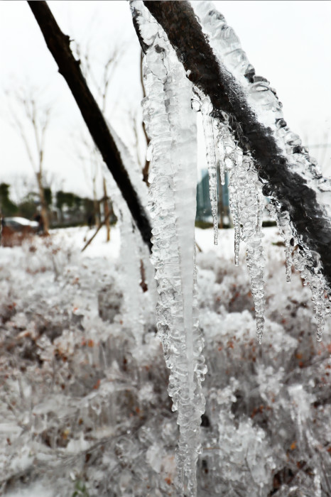 一場雪，體育中心美得不要不要的</br>但最美的風(fēng)景還是他們(圖4)