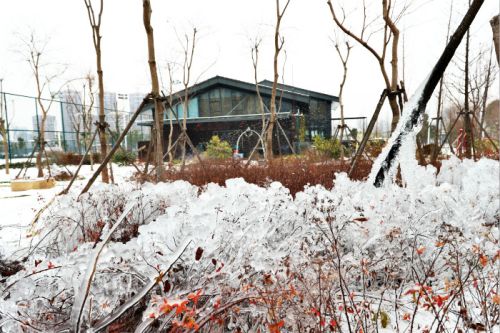 一場雪，體育中心美得不要不要的</br>但最美的風(fēng)景還是他們(圖2)